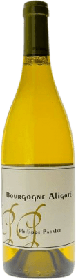 Philippe Pacalet Aligoté Bourgogne Aligoté 75 cl