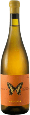 Ausonia Machaon Anfora Pecorino Colli Aprutini 75 cl