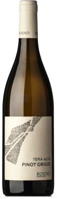 Roeno Terra Alta Pinot Grey Valdadige Terra dei Forti 75 cl