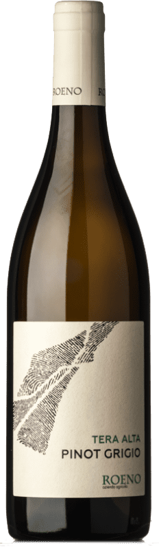 Бесплатная доставка | Белое вино Roeno Terra Alta D.O.C. Valdadige Terra dei Forti Венето Италия Pinot Grey 75 cl