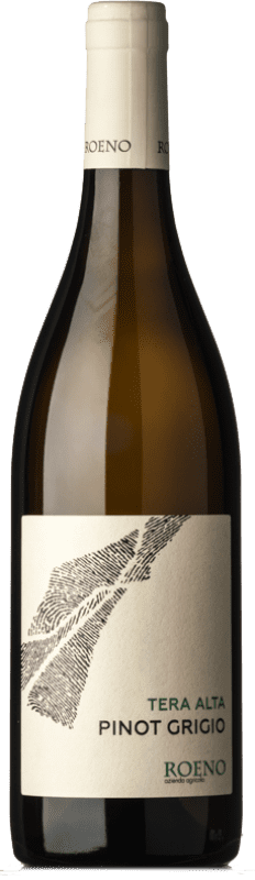 Free Shipping | White wine Roeno Terra Alta D.O.C. Valdadige Terra dei Forti Veneto Italy Pinot Grey 75 cl