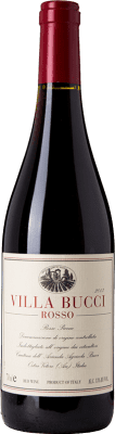 Villa Bucci Rosso Piceno 75 cl