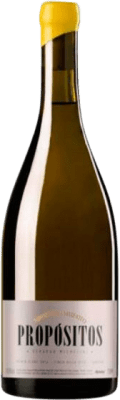 Michelini i Mufatto Propositos Chenin Tupungato 75 cl
