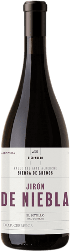 Spedizione Gratuita | Vino Rosso Rico Nuevo Viticultores Jirón de Niebla D.O.P. Cebreros Castilla y León Spagna Garnacha — Grenache 75 cl