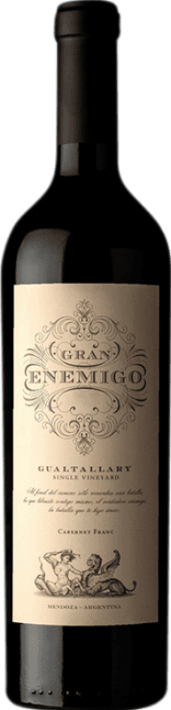 123,95 € Spedizione Gratuita | Vino Rosso Aleanna Gran Enemigo Single Vineyard — Vigneto Unico I.G. Mendoza