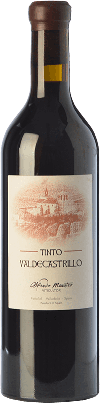 Envío gratis | Vino tinto Maestro Tejero Castrillo de Duero Crianza I.G.P. Vino de la Tierra de Castilla y León Castilla y León España Tempranillo 75 cl