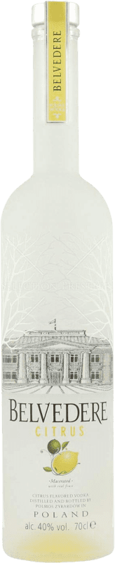 Free Shipping | Vodka Belvedere Poland 70 cl Citrus