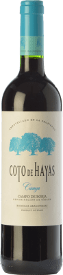 Bodegas Aragonesas Coto de Hayas 高齢者