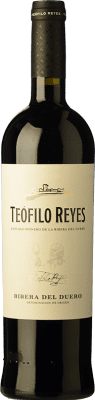 Teófilo Reyes Tempranillo Ribera del Duero старения 75 cl