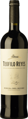 Teófilo Reyes 高齢者