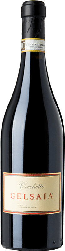 Envio grátis | Vinho tinto Cecchetto Malanotte Gelsaia D.O.C. Piave Vêneto Itália Raboso 75 cl