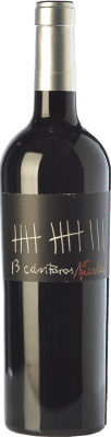 César Príncipe 13 Cántaros Nicolás Tempranillo Cigales 若い 75 cl