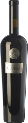 Clunia Finca Rincón Aged