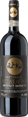 Colleallodole Sagrantino Sagrantino di Montefalco 75 cl