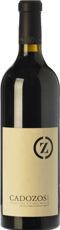 19,95 € Envío gratis | Vino tinto Dehesa de Cadozos Joven I.G.P. Vino de la Tierra de Castilla y León