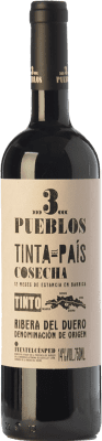 Díaz Bayo 3 Pueblos Tempranillo Ribera del Duero 高齢者 75 cl