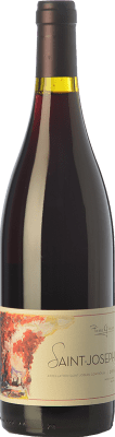 Pierre Gaillard Syrah Saint-Joseph Alterung 75 cl