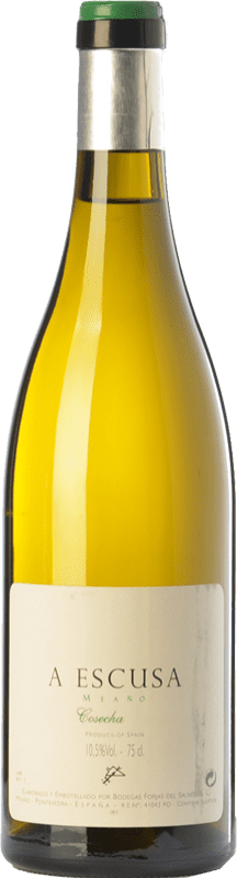 18,95 € Envio grátis | Vinho branco Forjas del Salnés Leirana A Escusa D.O. Rías Baixas