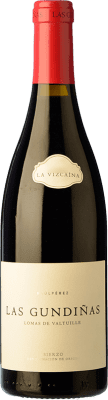 La Vizcaína Las Gundiñas Bierzo Crianza 75 cl