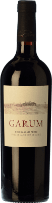Бесплатная доставка | Красное вино Luis Pérez Garum старения I.G.P. Vino de la Tierra de Cádiz Андалусия Испания Merlot, Syrah, Petit Verdot 75 cl