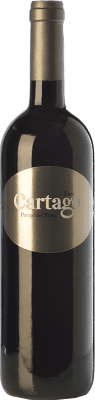 Maurodos Cartago El Pozo Vino de Paraje — Vino di Paraje Crianza — Invecchiato in Botte