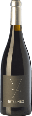 Microbio Ismael Gozalo Sietejuntos Syrah Alterung 75 cl