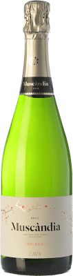 Muscàndia Balsam Brut Cava 75 cl