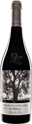 Envío gratis | Vino tinto Pago de los Capellanes El Nogal Reserva D.O. Ribera del Duero Castilla y León España Tempranillo 75 cl