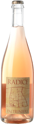 Paltrinieri Lambrusco Radice Lambrusco di Sorbara Modena 75 cl