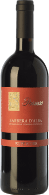 Parusso Superiore Barbera Barbera d'Alba 75 cl