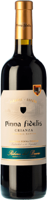 Pinna Fidelis Aged