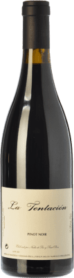 Raúl Pérez La Tentación Pinot Noir Crianza — Aged 75 cl