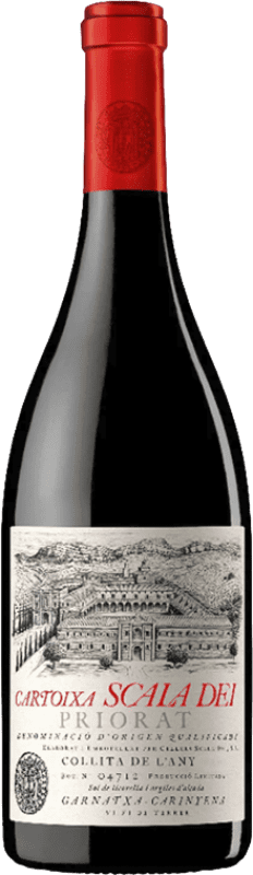 61,95 € Envoi gratuit | Vin rouge Scala Dei Cartoixa Réserve D.O.Ca. Priorat