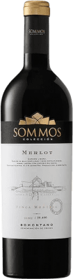 Free Shipping | Red wine Sommos Colección Aged D.O. Somontano Aragon Spain Merlot 75 cl