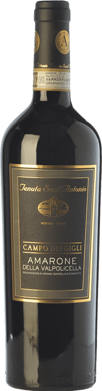 77,95 € | Red wine Tenuta Sant'Antonio Campo dei Gigli D.O.C.G. Amarone della Valpolicella Veneto Italy Corvina, Rondinella, Oseleta, Croatina Bottle 75 cl