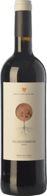 Valderiz Valdehermoso 9 Meses Tempranillo Ribera del Duero Jovem 75 cl