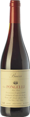 Villa Bucci Pongelli Rosso Piceno 75 cl