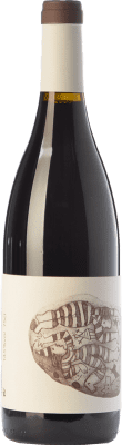 Vins de Pedra Negre de Folls Young