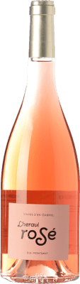 Vinyes d'en Gabriel L'Heravi Rosé — Розе