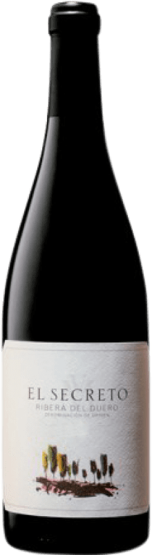 14,95 € Free Shipping | Red wine Palacio El Secreto D.O. Ribera del Duero Castilla y León Spain Tempranillo Bottle 75 cl