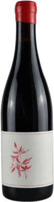 Arnot-Roberts Pinot Noir Sonoma Coast Eco — Biológico 75 cl