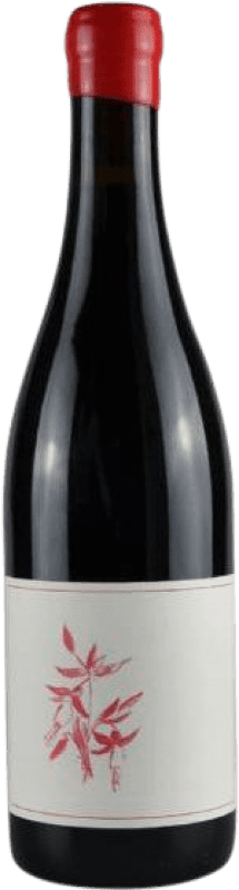 Free Shipping | Red wine Arnot-Roberts I.G. Sonoma Coast California United States Pinot Black 75 cl