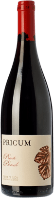 Margón Pricum Prieto Picudo Tierra de León 瓶子 Magnum 1,5 L