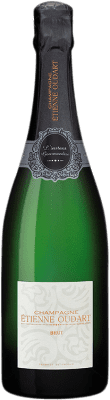 Étienne Oudart Origine Brut