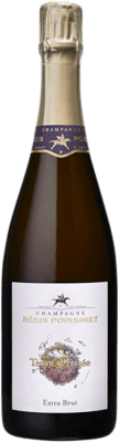 Régis Poissinet Terre d'Irizée エキストラブラット Champagne 75 cl