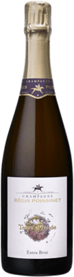 Régis Poissinet Terre d'Irizée Extra Brut Champagne 75 cl