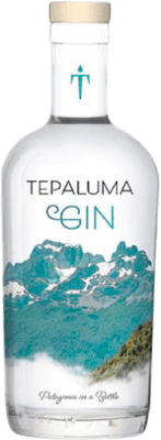 53,95 € | Gin Tepaluma Chile Medium Bottle 50 cl