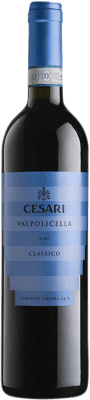 Cesari Classico Valpolicella 若い 75 cl