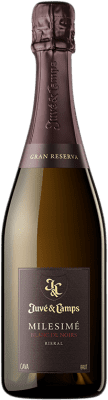 Juvé y Camps Blanc de Noirs Pinot Black Cava Гранд Резерв 75 cl