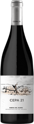 Cepa 21 Tempranillo Ribera del Duero マグナムボトル 1,5 L